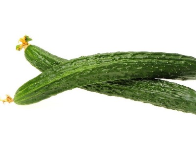 煩人的黃瓜“鑲金邊”又來(lái)了!究竟咋回事?