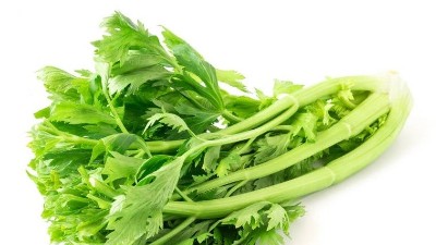 磷酸二氫鉀，能和殺菌劑混用嗎?別再犯錯啦!