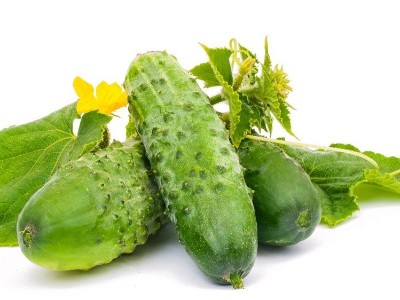 面對黃瓜莖稈開裂的情況該如何應(yīng)對？
