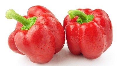 高溫多雨，辣椒炭疽病來勢洶洶，如何防治?