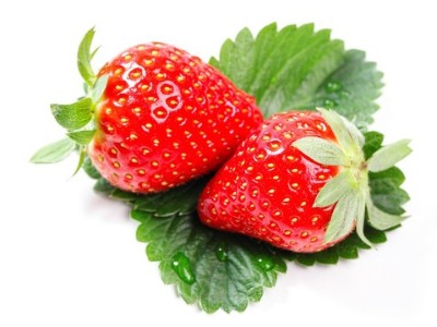 怎樣抓好草莓花芽分化?記住這5點很重要