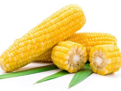 玉米追肥的最佳時間是什么時候？
