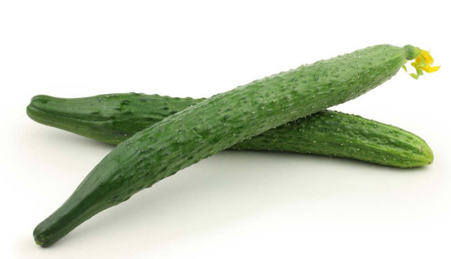 地里種植的黃瓜出現(xiàn)了很多大頭瓜，什么原因造成的?