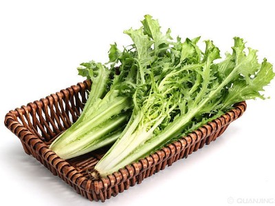 低溫天氣大棚蔬菜想要安全越冬，應(yīng)該如何應(yīng)對?