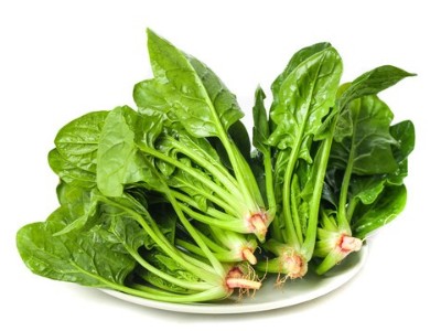 菠菜病毒病有什么癥狀？該怎么防治？