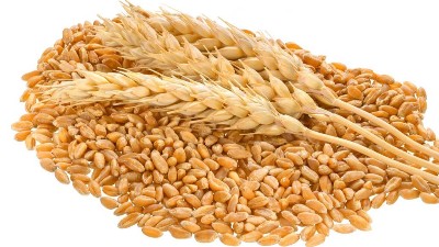 種小麥噴施三次硼肥，抗凍又增產(chǎn)