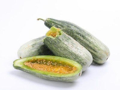 羊角蜜高產(chǎn)栽培技術