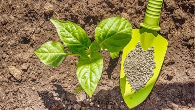 化肥、有機肥和生物菌肥各自有哪些不同？優(yōu)缺點是什么呢？
