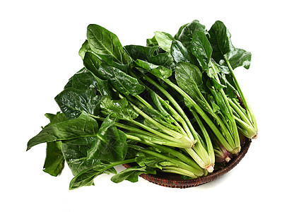 早春蔬菜定植如何才能提高成活率，避免出現(xiàn)死棵？
