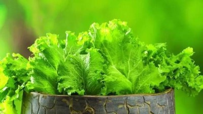請注意!這4點(diǎn)沒做好，蔬菜或?qū)?yán)重減產(chǎn)